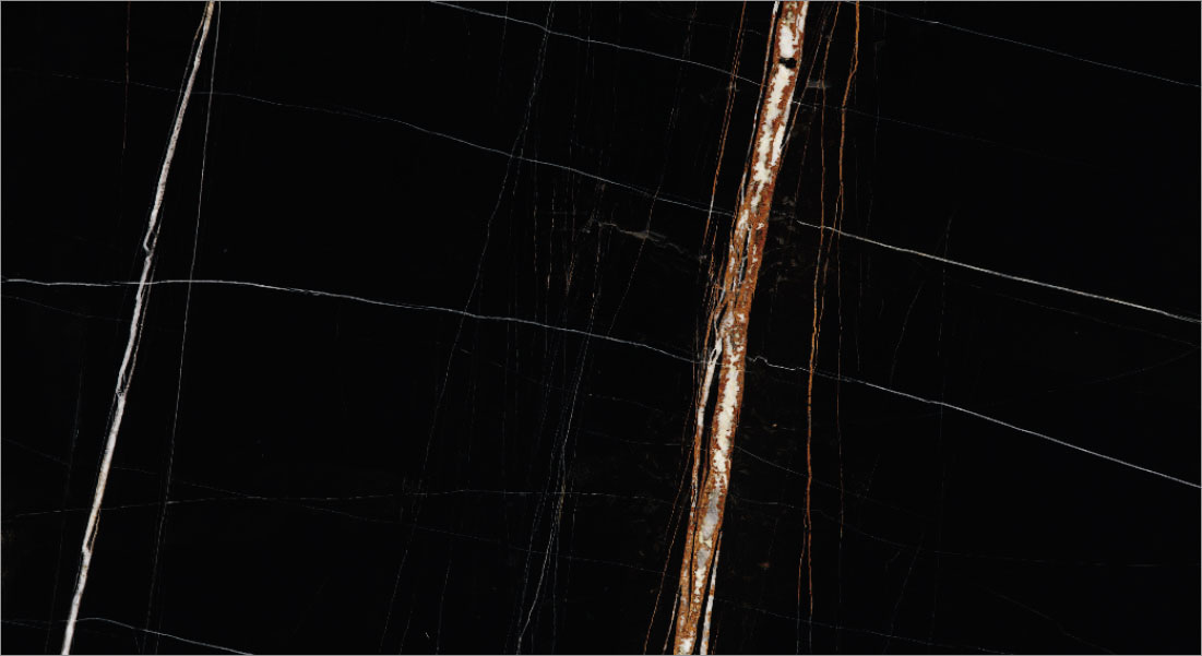 Nero Saint Laurent Marble Marble | Top Marble Dealers in Delhi - Stone Emporium